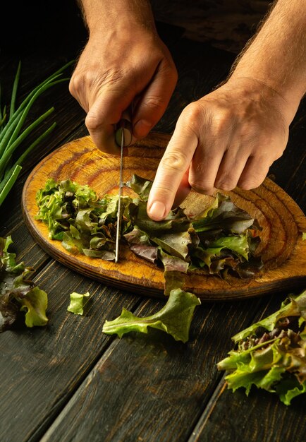 Hands placing herbs on a finished dish